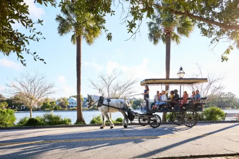 Palmetto Carriage Works: Tour · Market / Ansonborough